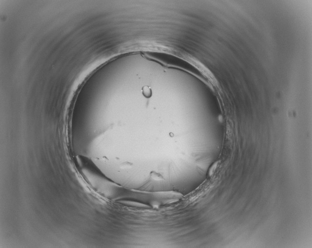 X0000069361144200606021446