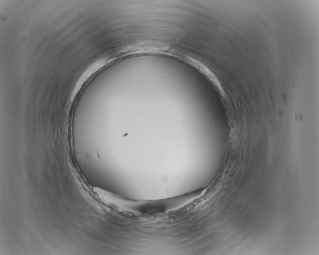 X0000069361146200606021446