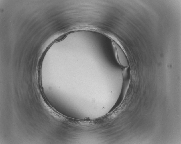 X0000069361147200606021446