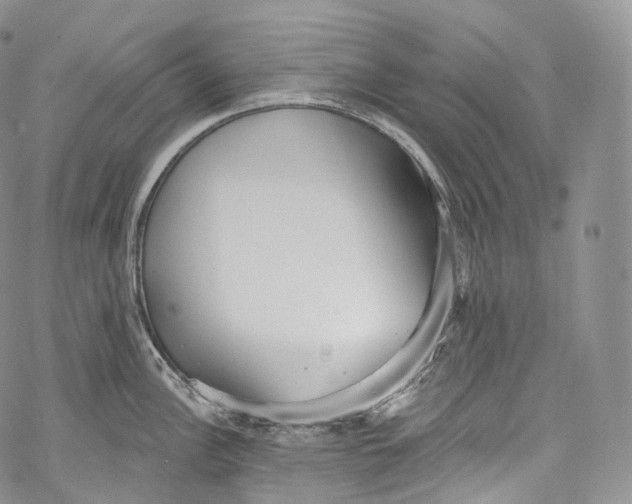 X0000069361148200606021447