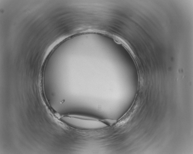 X0000069361149200606021447