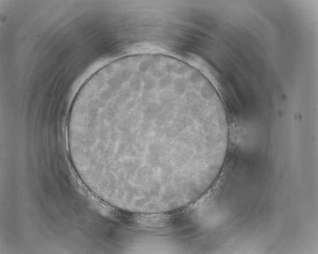 X0000069361150200606021447