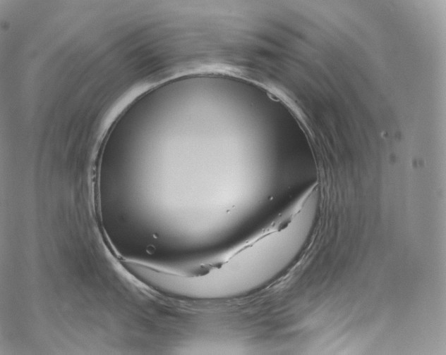 X0000069361151200606021447