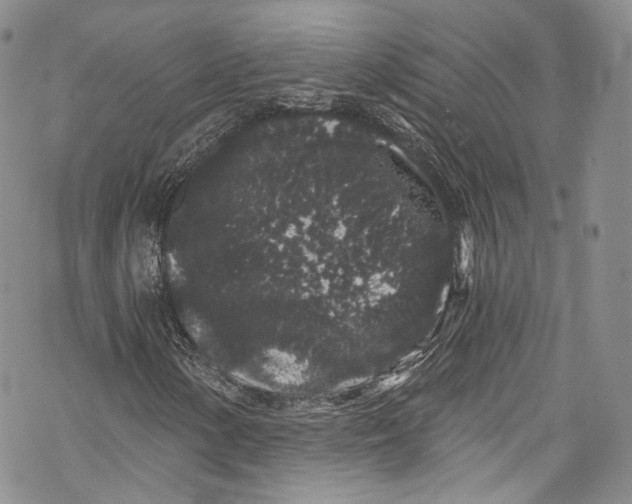 X0000069361154200606021446