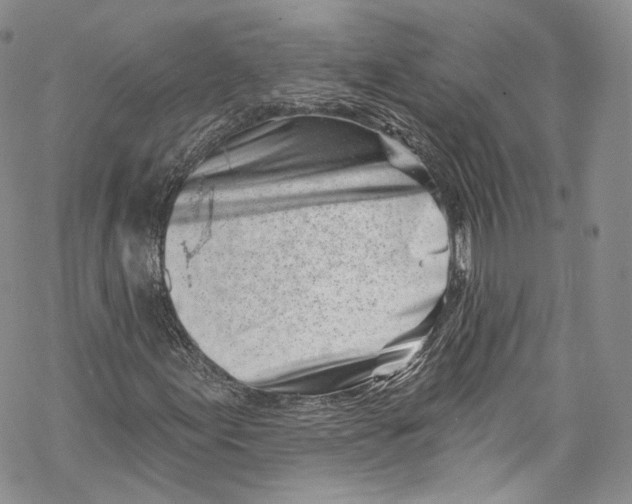 X0000069361155200606021446