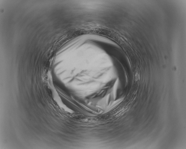 X0000069361156200606021446