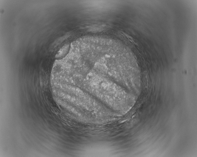 X0000069361158200606021446