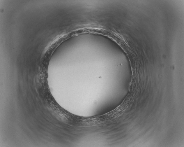 X0000069361159200606021446