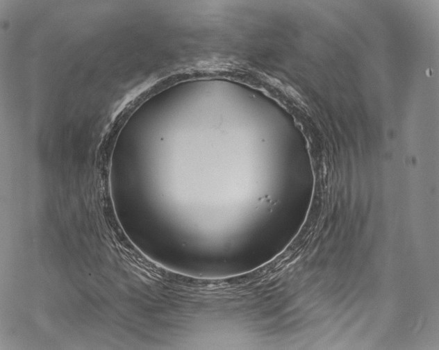 X0000069361160200606021446