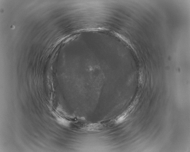 X0000069361161200606021446