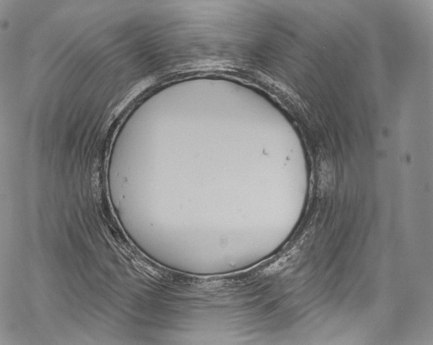 X0000069361162200606021446