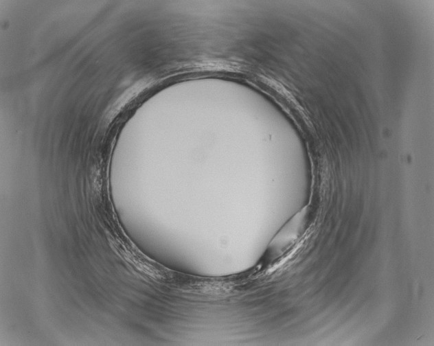 X0000069361163200606021446