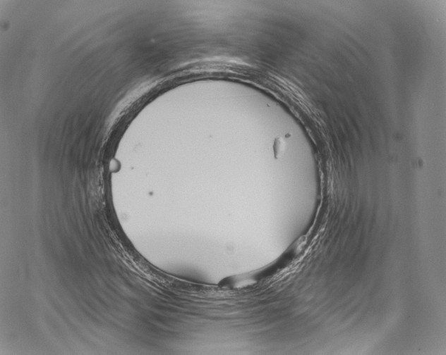 X0000069361164200606021446