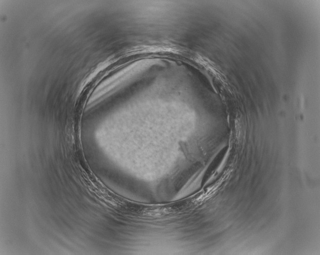 X0000069361165200606021446