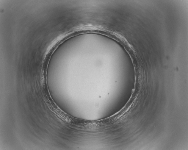 X0000069361167200606021446