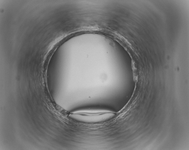 X0000069361168200606021446