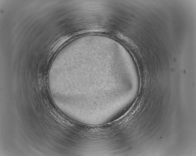 X0000069361169200606021446