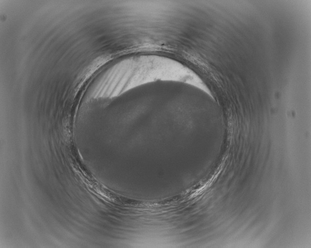 X0000069361170200606021446