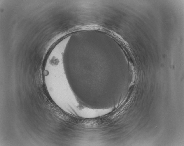 X0000069361174200606021445