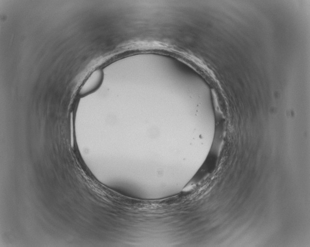 X0000069361175200606021445