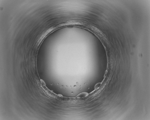 X0000069361177200606021445