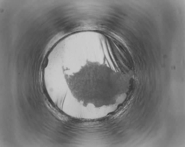 X0000069361179200606021445