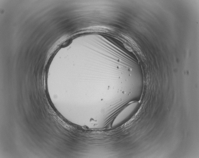 X0000069361180200606021445