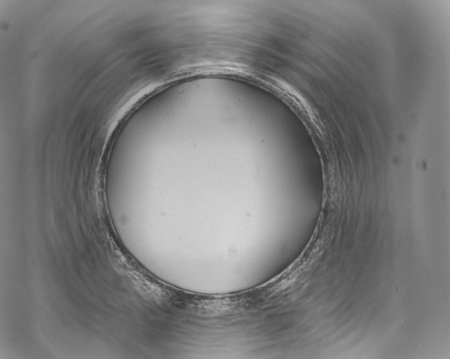 X0000069361182200606021445