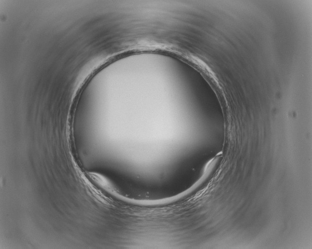 X0000069361183200606021445