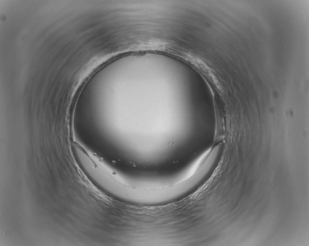 X0000069361184200606021445