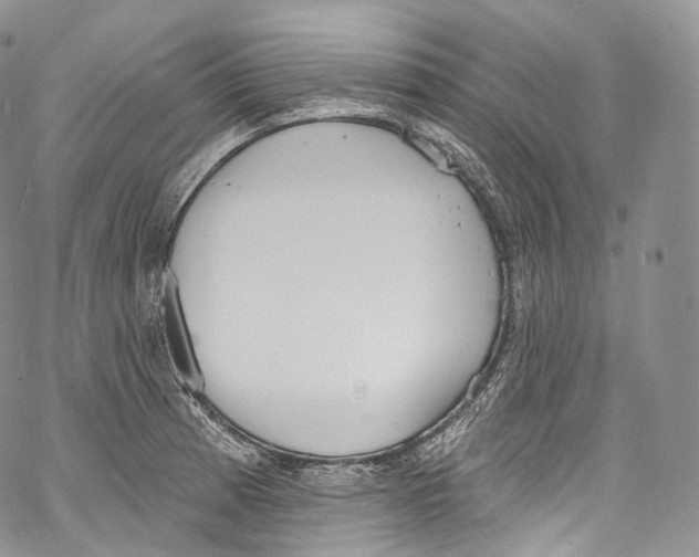 X0000069361185200606021445