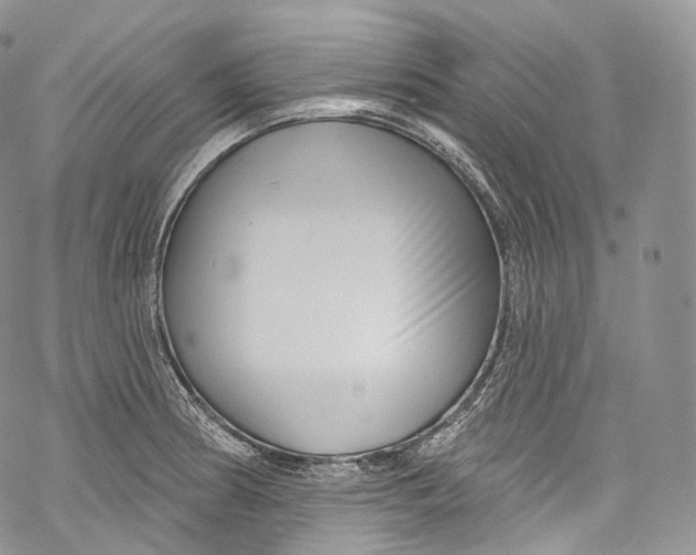 X0000069361186200606021445