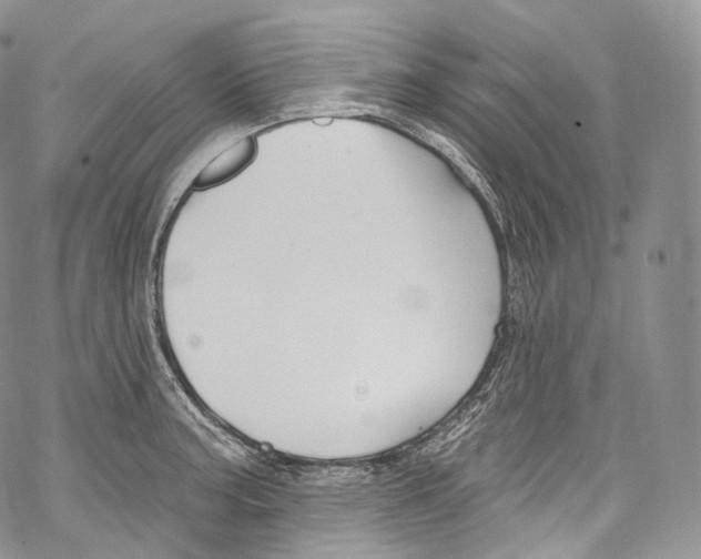 X0000069361187200606021445