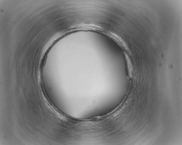 X0000069361188200606021445