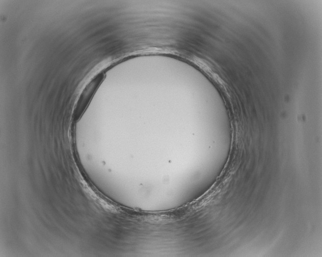 X0000069361189200606021445