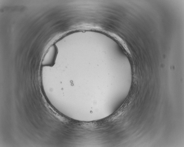 X0000069361191200606021445