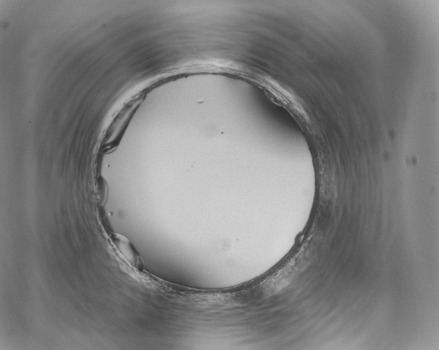 X0000069361192200606021445