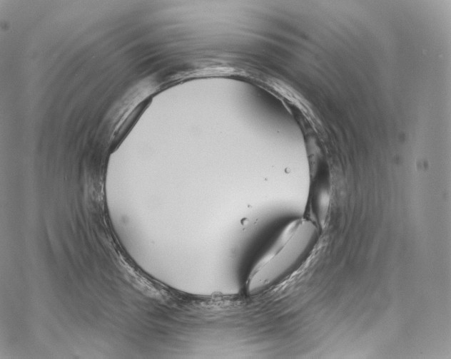 X0000069361193200606021445