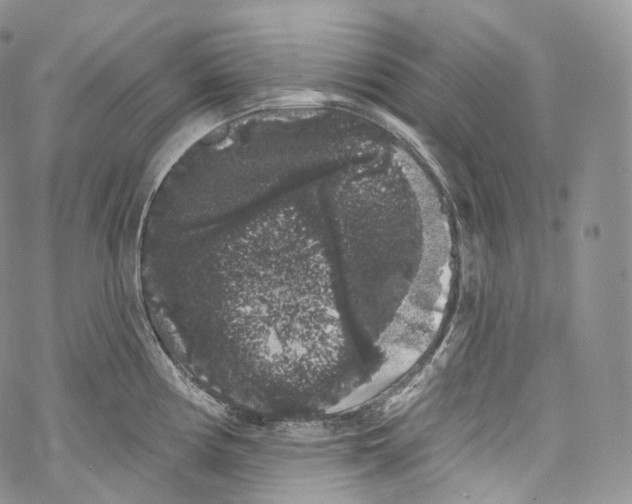 X0000069361194200606021445