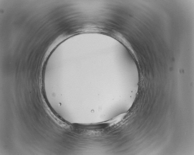 X0000069361195200606021445