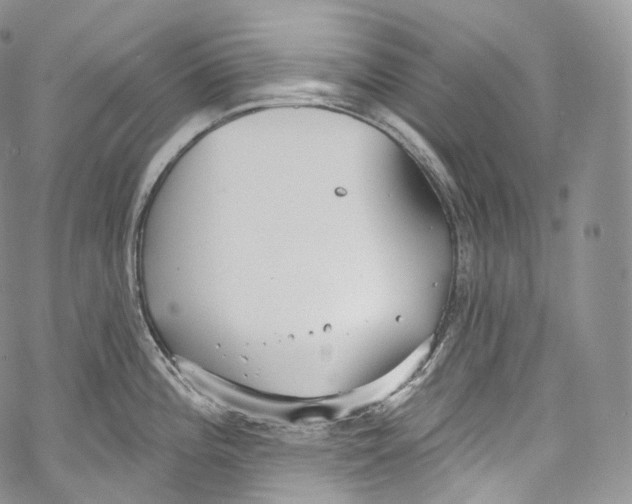 X0000069361196200606021445