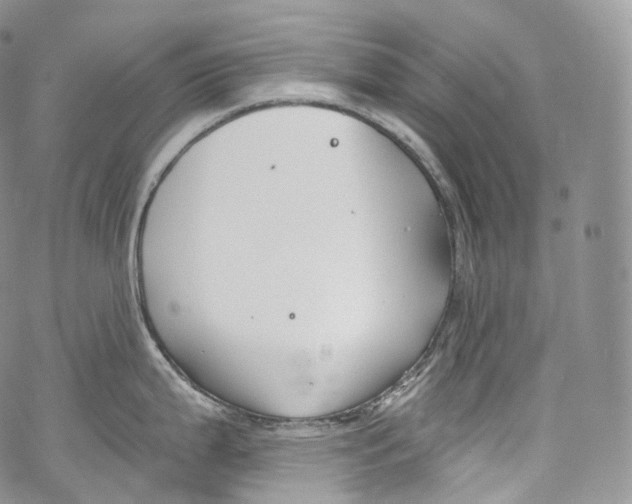 X0000069361199200606021445