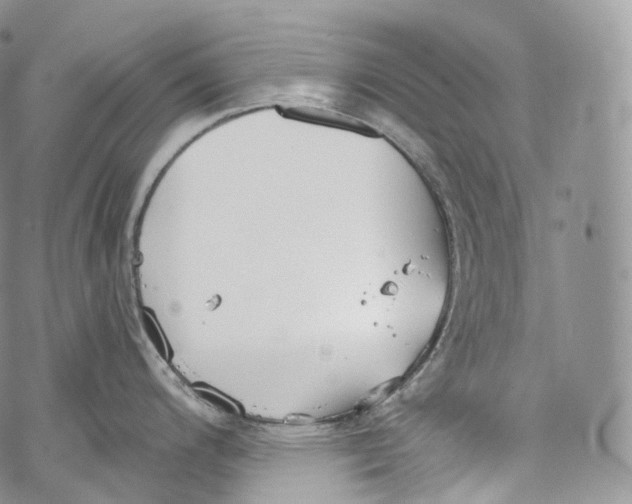 X0000069361200200606021445