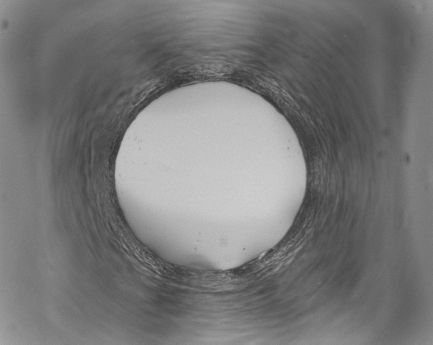 X0000069361201200606021444