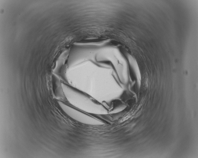 X0000069361202200606021444