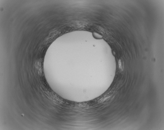 X0000069361203200606021444