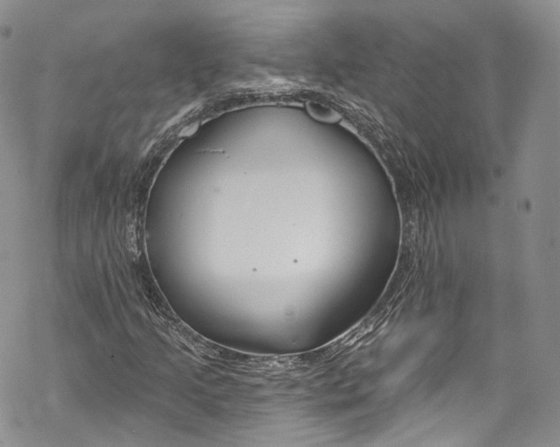 X0000069361205200606021444