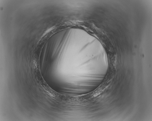 X0000069361206200606021444