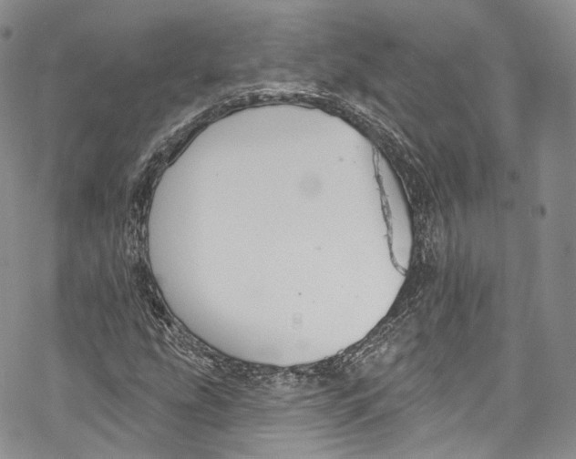 X0000069361207200606021444