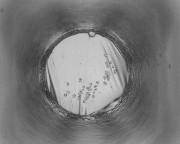 X0000069361208200606021444